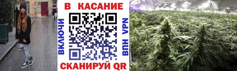 Как найти закладки Бородино Кетамин  ГАШ  blacksprut онион  МАРИХУАНА 