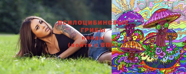 а пвп мука Белокуриха