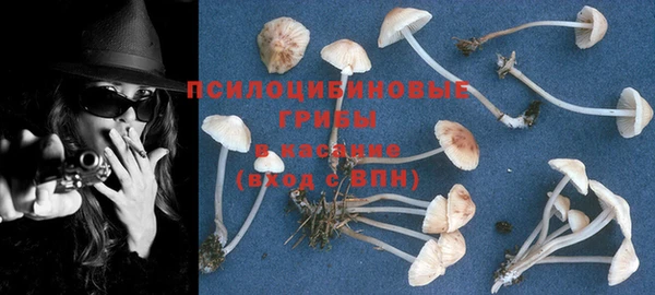 марки nbome Беломорск