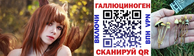 Галлюциногенные грибы Psilocybine cubensis  что такое наркотик  Бородино 